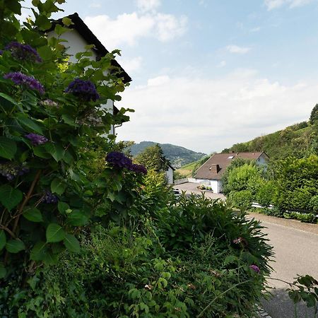 Ferienwohnung Wintereck Bühlertal Exteriér fotografie