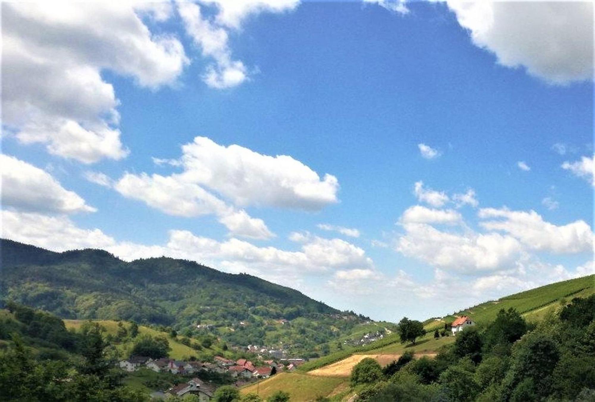Ferienwohnung Wintereck Bühlertal Exteriér fotografie