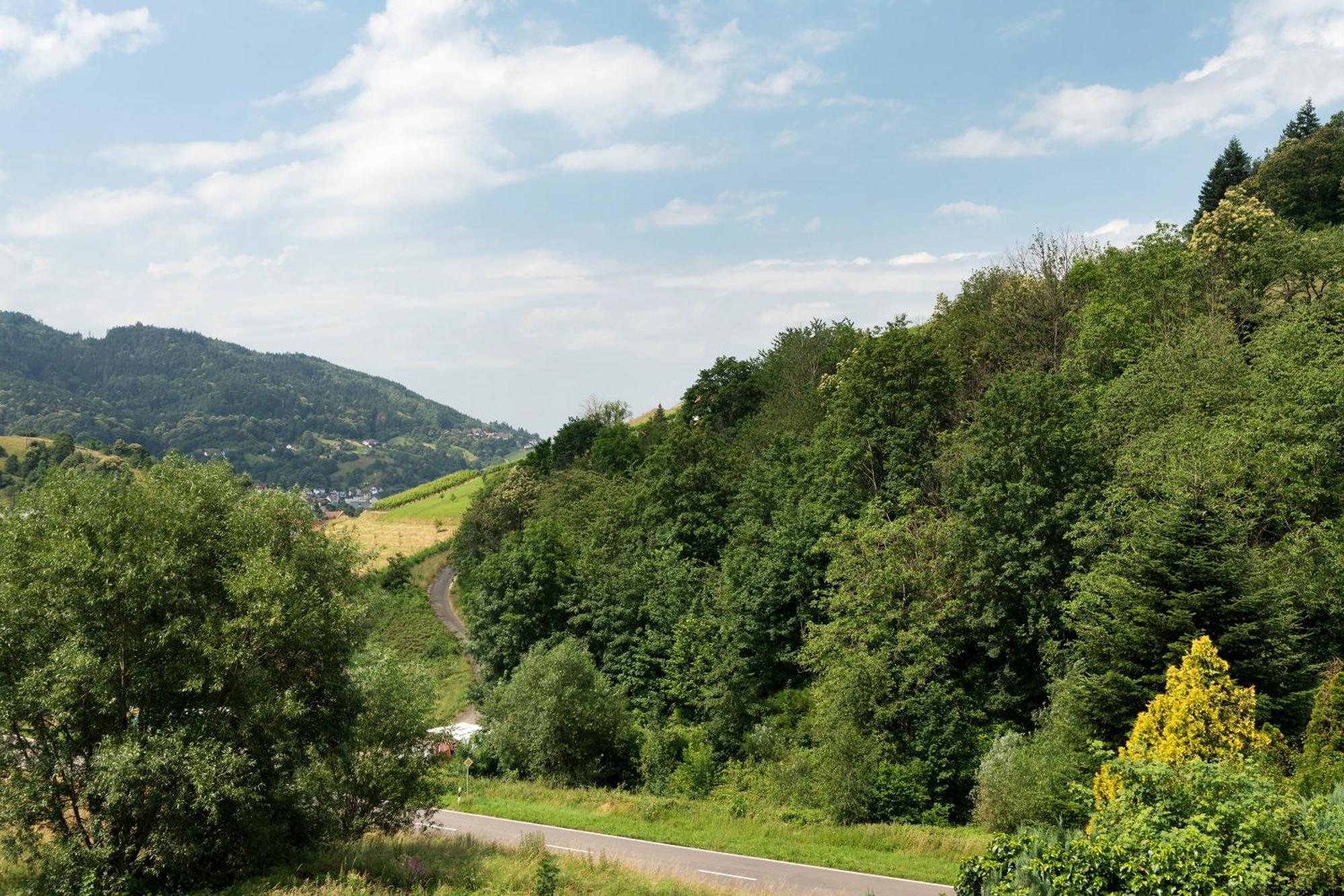 Ferienwohnung Wintereck Bühlertal Exteriér fotografie