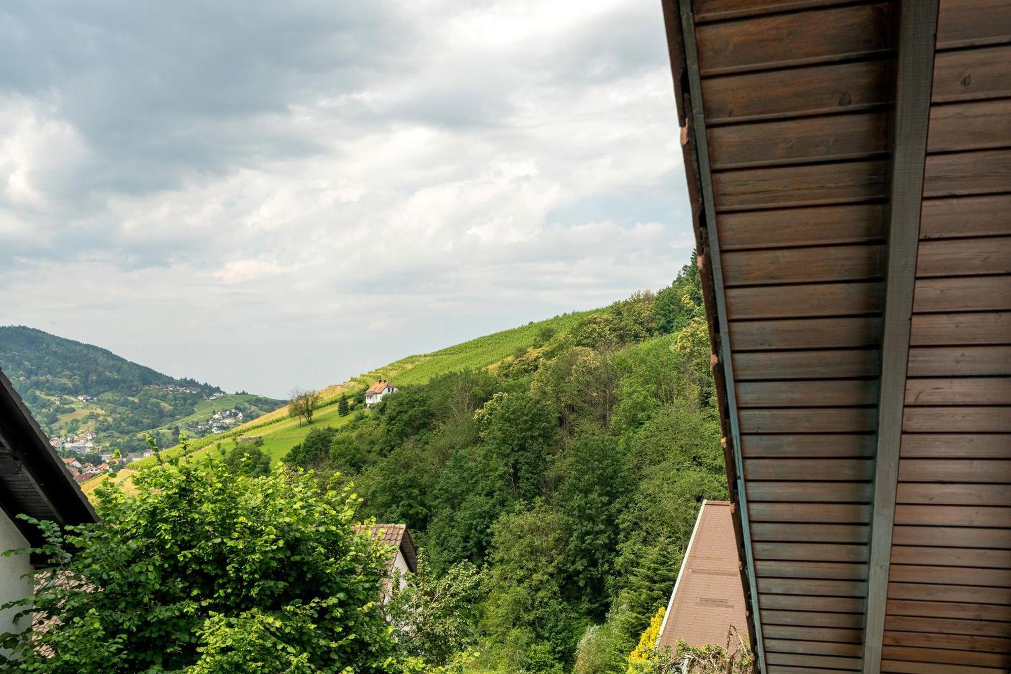 Ferienwohnung Wintereck Bühlertal Exteriér fotografie