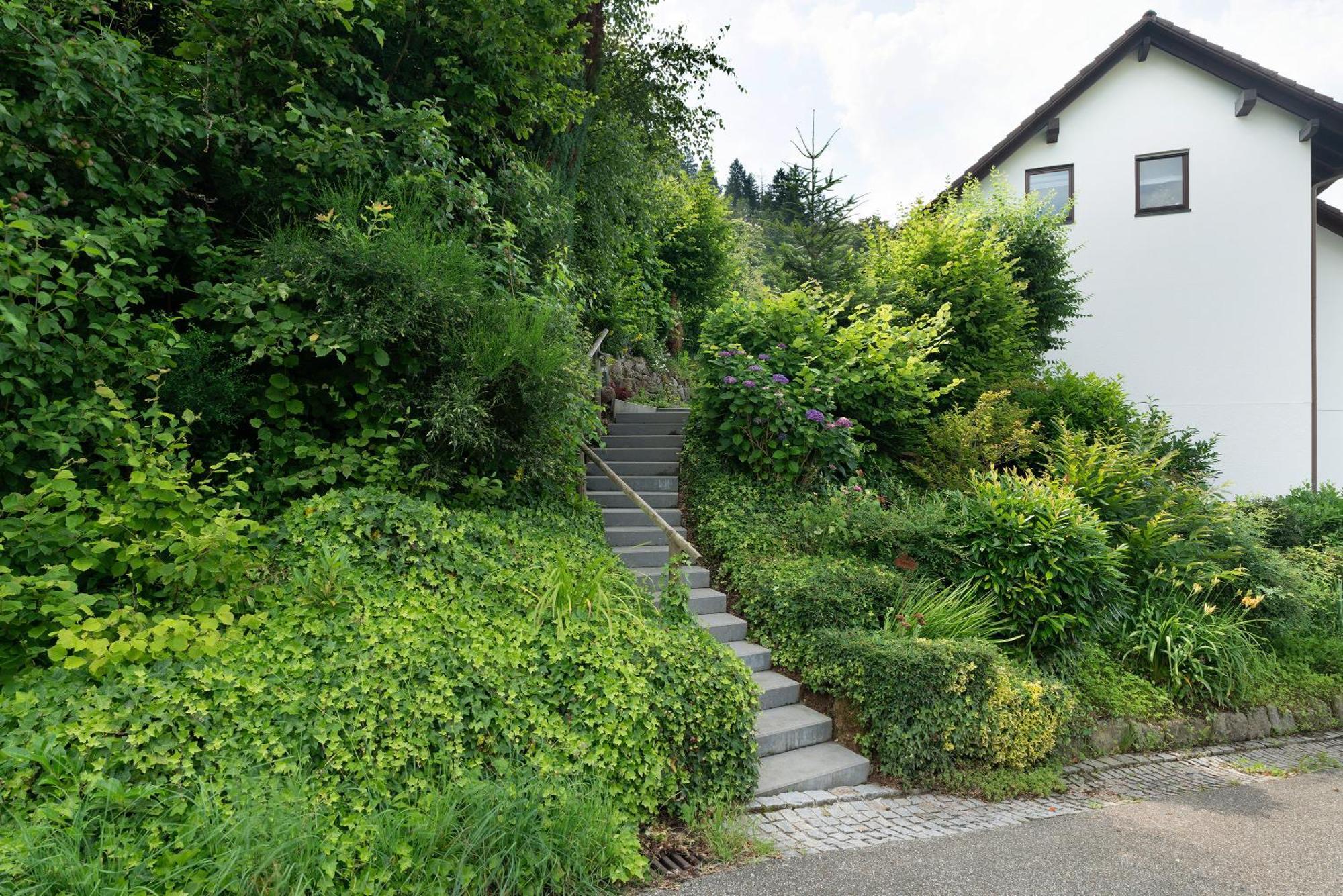 Ferienwohnung Wintereck Bühlertal Exteriér fotografie