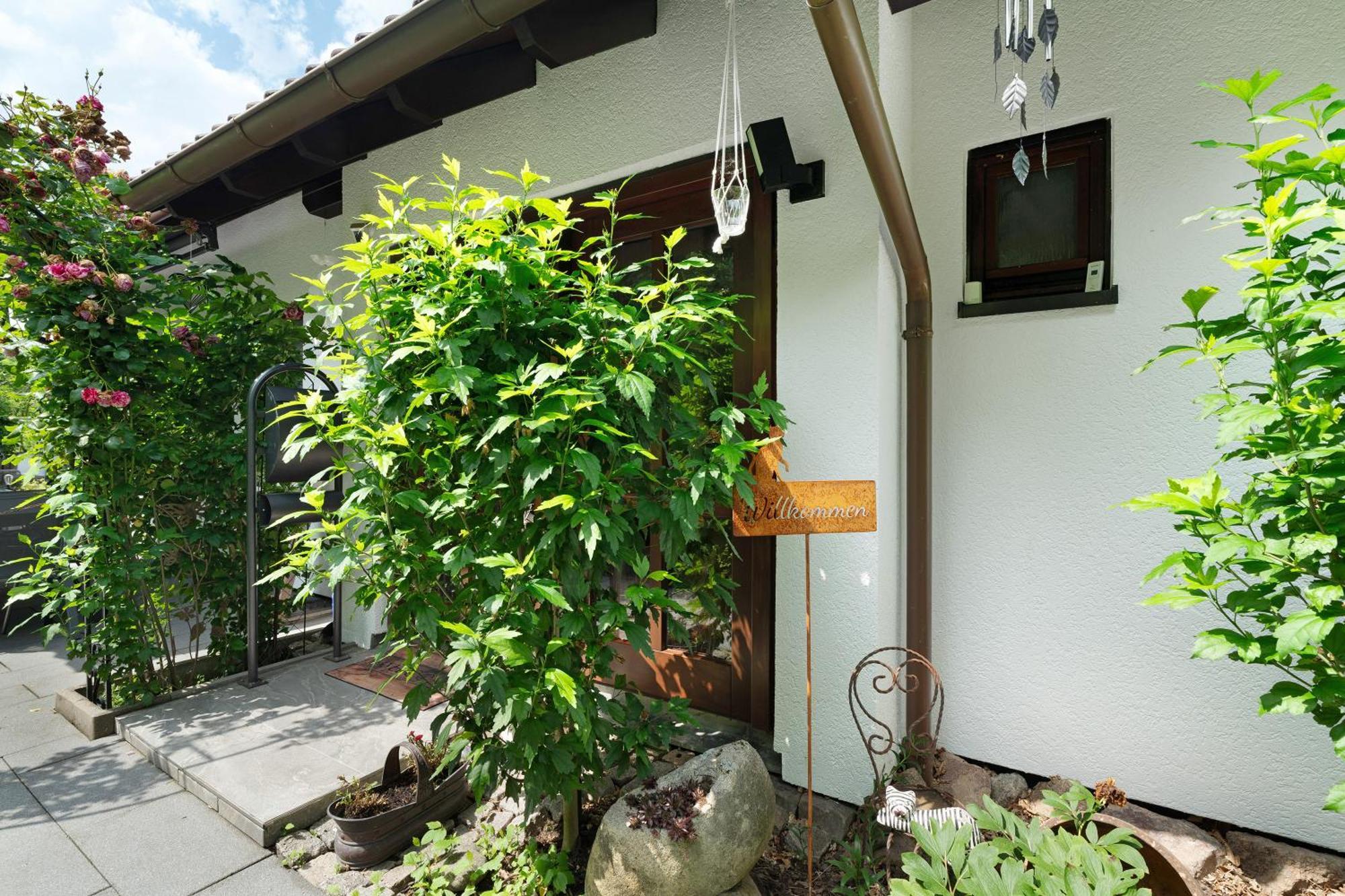 Ferienwohnung Wintereck Bühlertal Exteriér fotografie